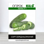 Насіння огірка Крак F1, 0,5 кг